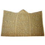 The Lion, the Witch and the Wardrobe Vintage Book Page Hooded Blanket - Gifts For Reading Addicts